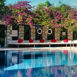 Aydos Club Türkiye